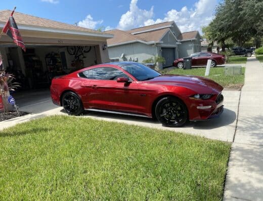 Tampa Auto Stylist