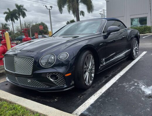 Lavish Mobile Car Detailing Miami