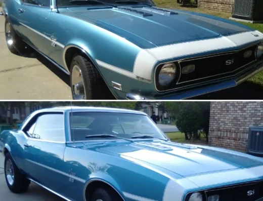 Brass Tacks Mobile Restoration and Detailing – Car Detailing in Ocala, FL