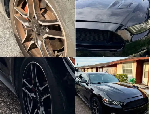 Detailed Mobile Car Clean – Car Detailing in Bradenton, FL
