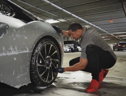 Platinum Mobile Detail LLC – Car Detailing in Wesley Chapel, FL