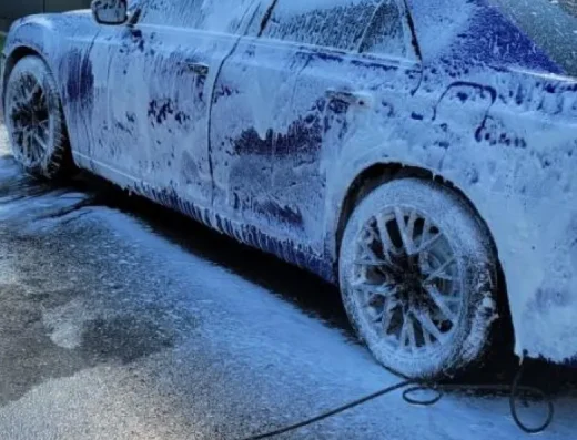 Showtime Mobile Detailing