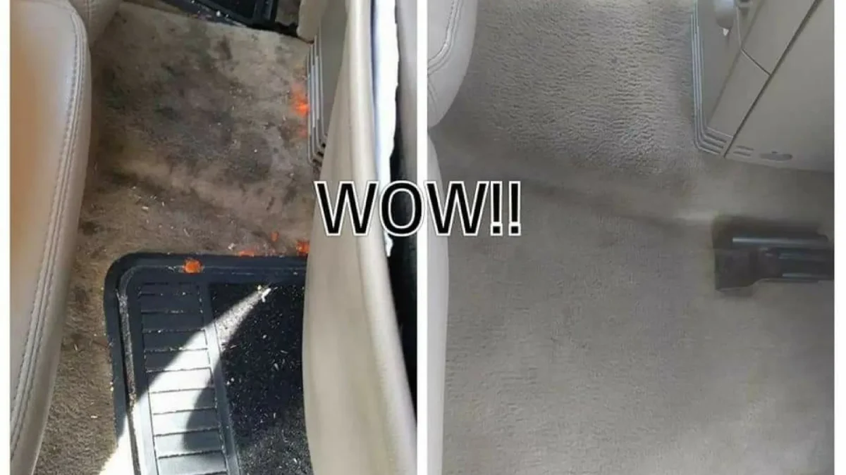 Tuxedo Car Cleaning – Car Detailing in Fort Myers, FL